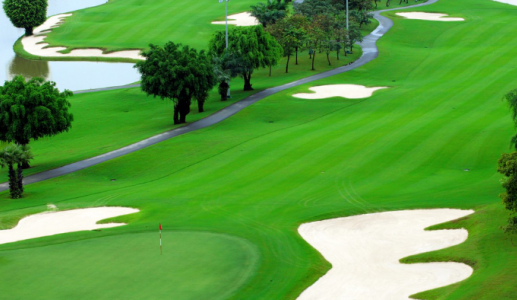 Sống gần sân golf tăng nguy cơ mắc bệnh Parkinson?