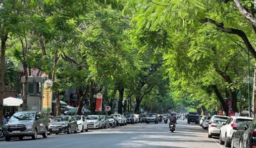Cảnh báo mưa lớn ở Bắc Bộ và Thanh Hóa