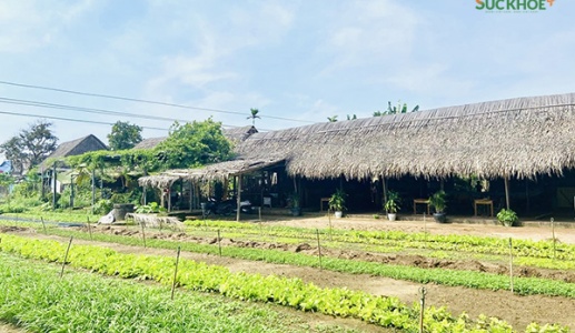 Hội An: Không chỉ là du lịch phố cổ!