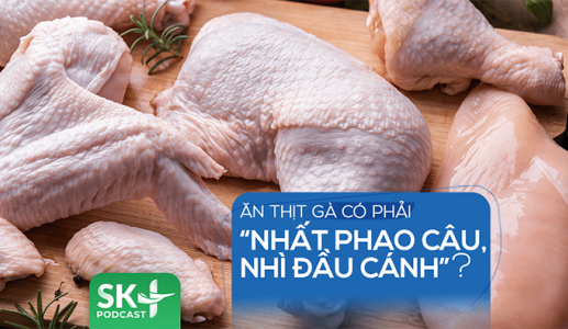 Podcast: Ăn thịt gà có phải “nhất phao câu, nhì đầu cánh”?