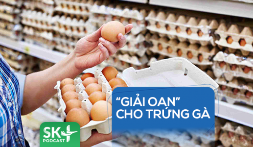 Podcast: “Giải oan” cho trứng gà