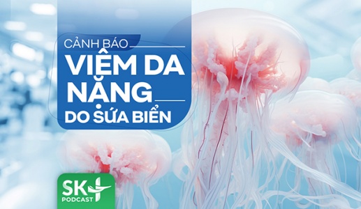 Podcast: Cảnh báo viêm da nặng do sứa biển