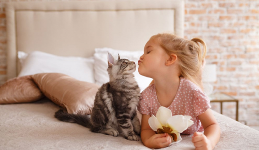 “Sen” có biết mèo cưng thích gì?