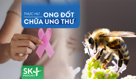 Podcast: Dùng ong đốt chữa ung thư, 'lợn lành thành lợn què'