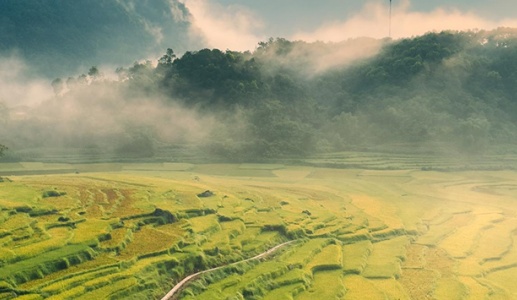 Cẩm nang du lịch Pù Luông