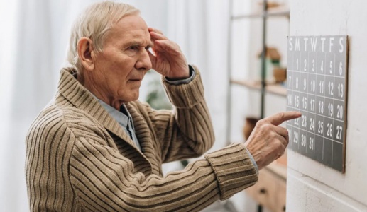 Hợp chất có trong loại thảo mộc “quen mặt” giúp ngừa bệnh Alzheimer
