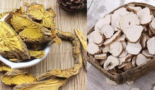 Thu hồi loạt dược liệu Bạch chỉ, Hoàng Đằng kém chất lượng 