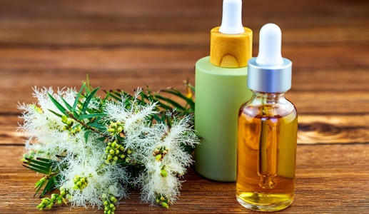 Có nên dùng tinh dầu tràm trà để trị mụn, trị nấm chân?