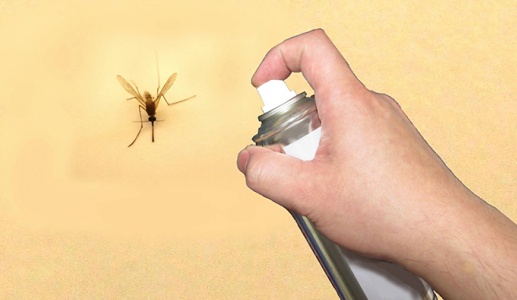 Làm sao để phòng tránh muỗi đốt?