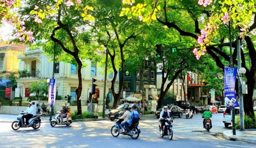 Bắc Bộ và Trung Bộ ngày nắng nóng, chiều tối có mưa to
