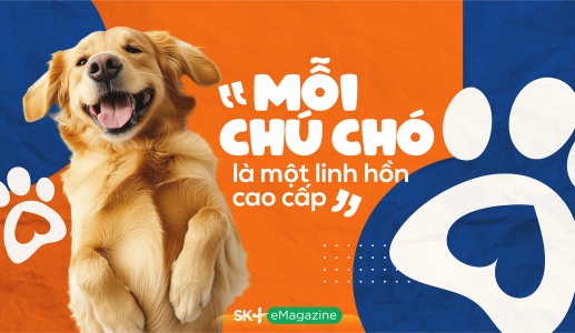 “Mỗi chú chó là một linh hồn cao cấp”