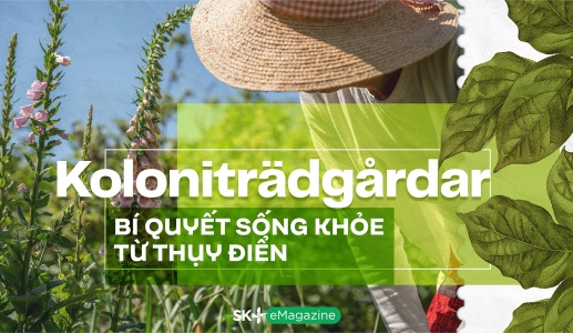 Koloniträdgårdar - Bí quyết sống khỏe từ Thụy Điển