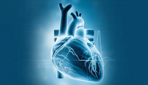 Làm gì để kiểm soát rung nhĩ, phòng ngừa cục máu đông hiệu quả?