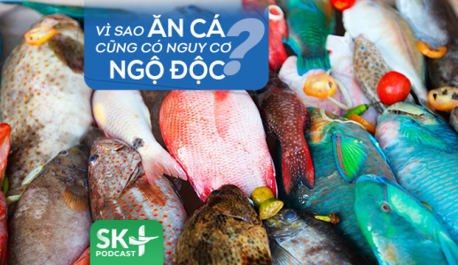 Podcast: Vì sao ăn cá cũng có nguy cơ ngộ độc?