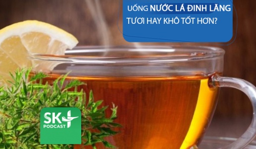 Podcast: Uống nước lá đinh lăng tươi hay khô sẽ tốt hơn?