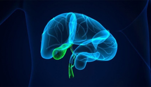 Polyp túi mật có thể gây ung thư không?