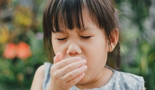 Bệnh ho gà gia tăng ở Mỹ: Những điều bạn cần biết!
