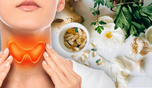 6 thảo mộc giúp tuyến giáp hoạt động nhịp nhàng hơn