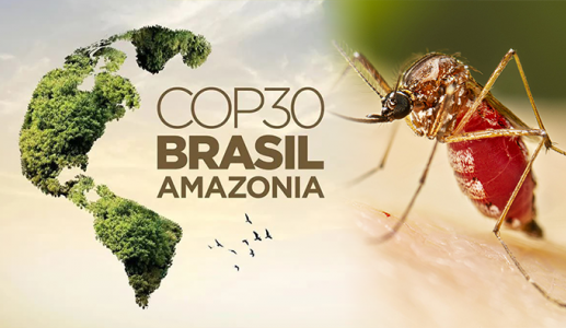 Câu chuyện sốt vàng da và biến đổi khí hậu tại COP30