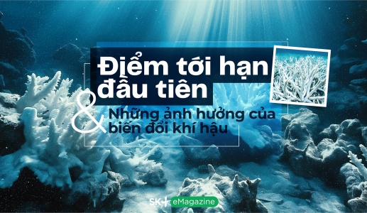 Điểm tới hạn đầu tiên và những ảnh hưởng của biến đổi khí hậu