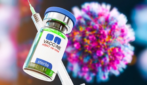 Virus cúm gia cầm hội đủ điều kiện gây ra một đại dịch mới