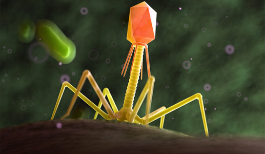 Công nghệ mới giúp tiêu diệt 99,9% vi khuẩn trong thực phẩm