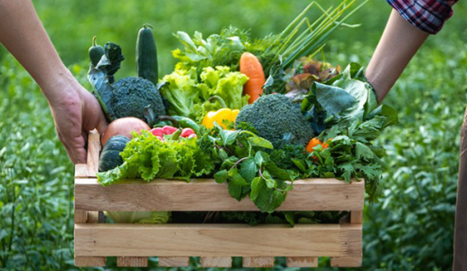 Lợi ích từ việc ăn uống theo mùa