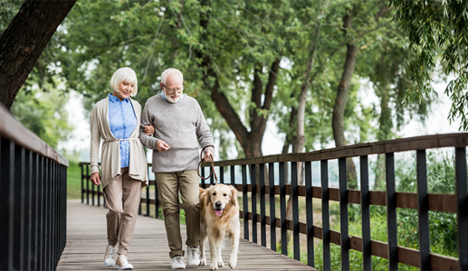 Học bí quyết giữ sức khỏe từ 5 bác sĩ tuổi ngoài 60 