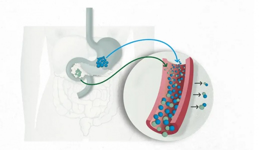 Đừng bỏ qua các dấu hiệu cảnh báo sớm bệnh đái tháo đường type 2!