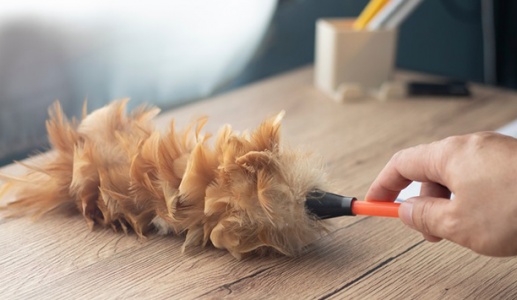 6 thói quen dọn dẹp có thể đã “lỗi thời”