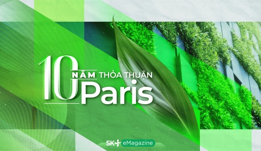 10 năm Thỏa thuận Paris