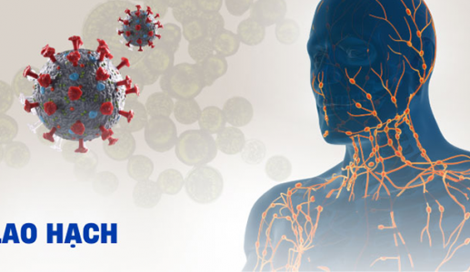 Nguy cơ nhiễm lao hạch ở người suy giảm miễn dịch