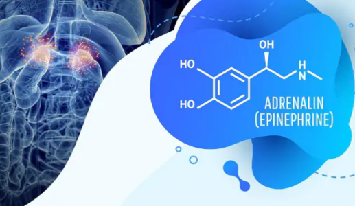 Tìm hiểu chung về loại hormone gây tăng huyết áp, tim đập nhanh