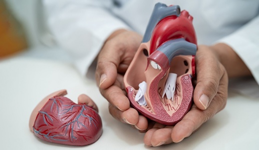 Hẹp van tim có chữa khỏi được không: Sự thật ít ai nói rõ!