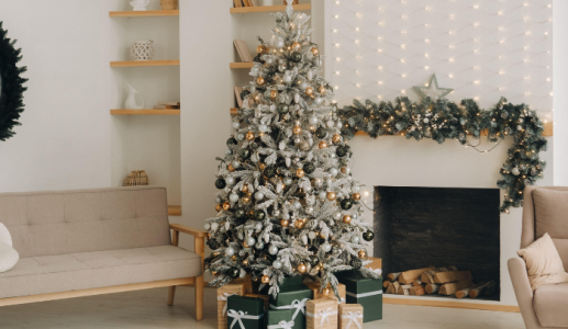 Lựa chọn cây thông Noel thật hay giả để bảo vệ môi trường?