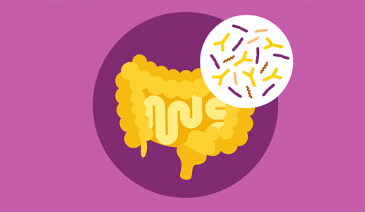 Hệ vi khuẩn đường ruột có vai trò gì với sức khỏe tổng thể?