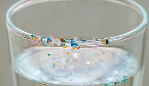 Vi nhựa và hormone: Mối liên hệ đáng lo ngại từ những vật dụng quen thuộc