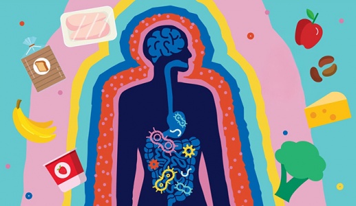 6 thói quen ăn uống khiến hệ vi sinh đường ruột suy yếu