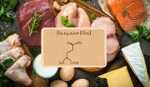 Glutamine: Dưỡng chất giúp dân thể thao phục hồi nhanh chóng