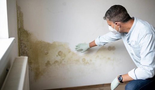 Thói quen nhỏ giúp ngăn ngừa nấm mốc trong nhà vào mùa Đông 