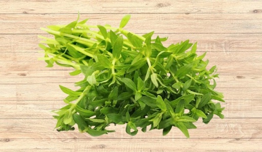 Có nên dùng rau ngổ trị sỏi mật 5,5mm không?