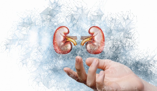 Suy thận độ 3: Giải pháp hỗ trợ làm chậm tiến triển bệnh