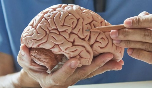 Ca mắc sa sút trí tuệ trẻ nhất nước Anh hiến não cho y học