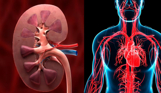 Giải mã nguy cơ suy tim ở người bệnh thận mạn tính