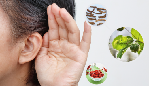 Một số thảo dược có ích với thính lực