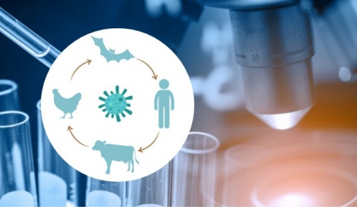 Những ổ chứa mầm bệnh vẫn đang âm thầm đe dọa con người