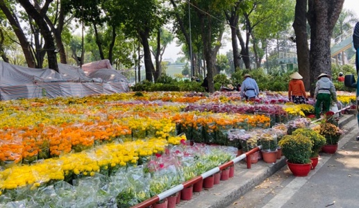 Tết 2026 chưng hoa gì để đón tài lộc và may mắn?