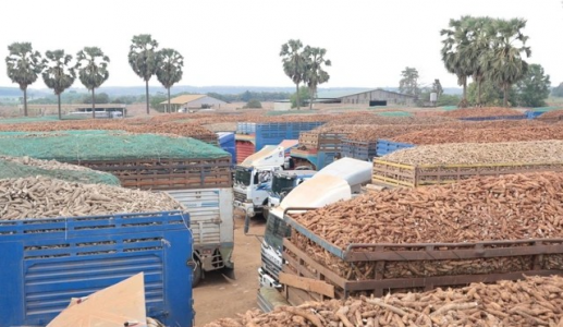 VCCI: Hội thảo “Tháo gỡ vướng mắc trong triển khai Luật An toàn thực phẩm”