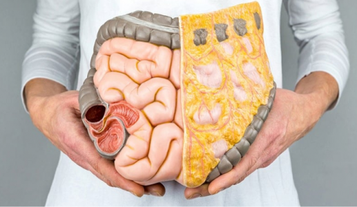 6 dưỡng chất giúp kiểm soát mỡ nội tạng