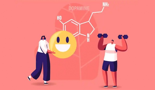 Bổ sung gì để thúc đẩy sản sinh dopamine một cách tự nhiên?